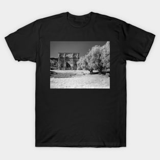 Arch of Constantine, Rome T-Shirt